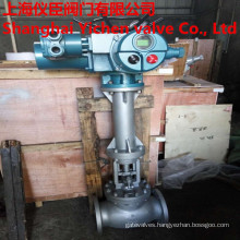 Electric Flange Type Extension Rod Globe Valve